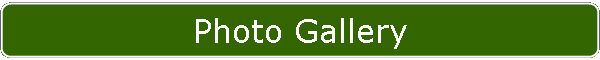 Photo Gallery