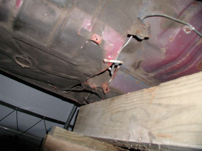 Mustang_C2_036.sized.jpg