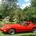 Vette 2010.sized