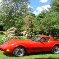 Vette 2010 4