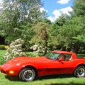 Vette 2010 4.sized