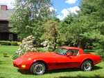 Vette 2010 (4).jpg