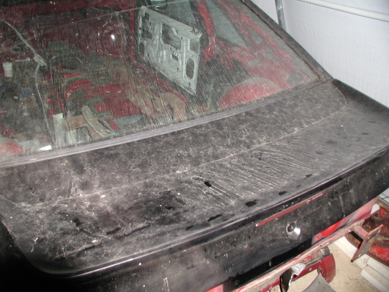 Mustang C2 025.jpg