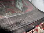 Mustang C2 025.jpg