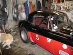 bill_healey_050904_01.jpg