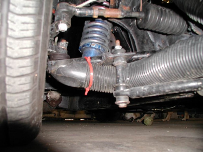 bill_healey_050904_10.jpg