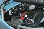 ffr_cobra_080605_006.jpg