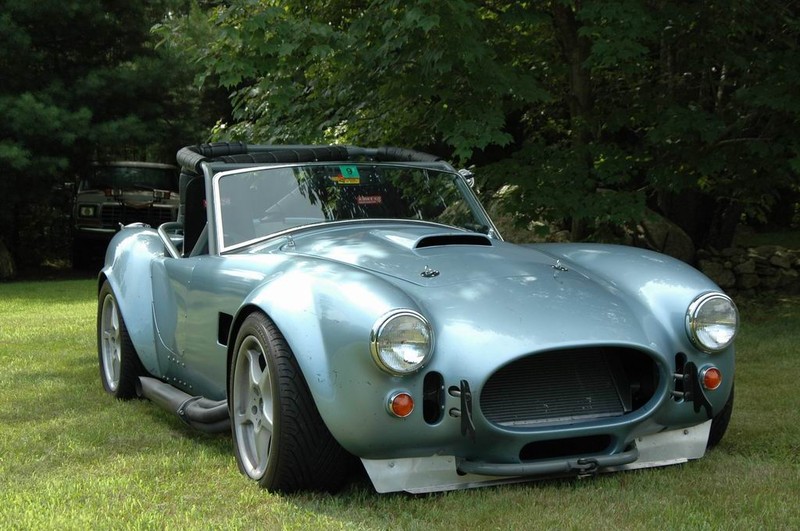 ffr_cobra_080605_008.jpg