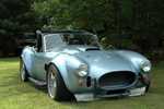 ffr_cobra_080605_008.jpg