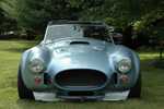 ffr_cobra_080605_009.jpg