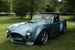 ffr_cobra_080605_010.jpg