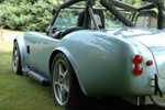 ffr_cobra_080605_014.jpg