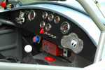 ffr_cobra_080605_018.jpg