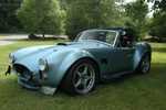 ffr_cobra_080605_028.jpg