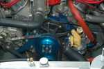 ffr_cobra_080605_032.jpg