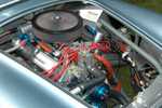 ffr_cobra_080605_035.jpg