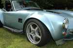 ffr_cobra_080605_036.jpg