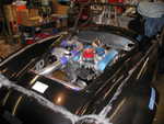 P1010007.JPG