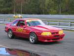 100206c41.jpg