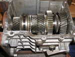 tremec 001.jpg