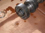 tremec 004.jpg