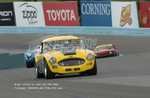 20080915_WGI_D12A_7011.jpg