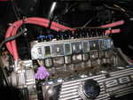 set8 003.jpg