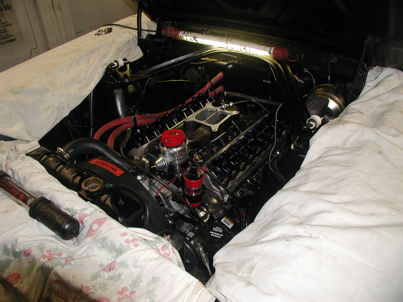 set8 025.jpg