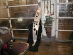 Sping 09 007.jpg