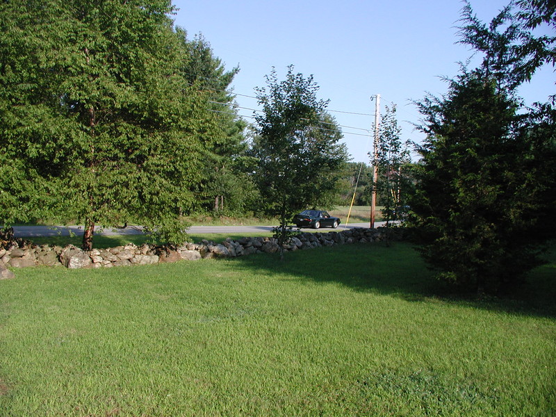P8231884.JPG