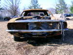 cuda burns front.jpg