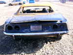cuda burns rear1.jpg